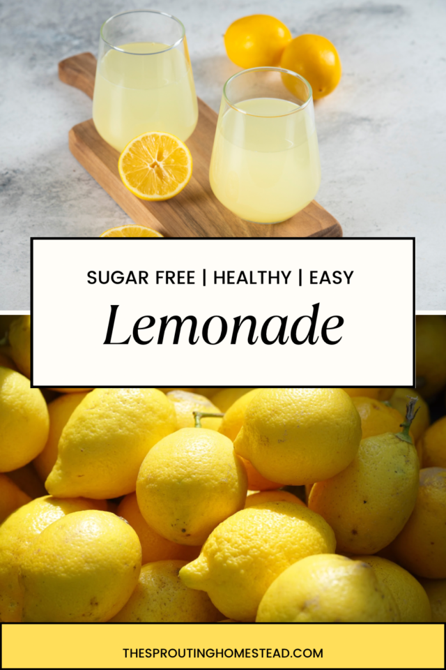 The Best Homemade Sugar Free Lemonade - The Sprouting Homestead